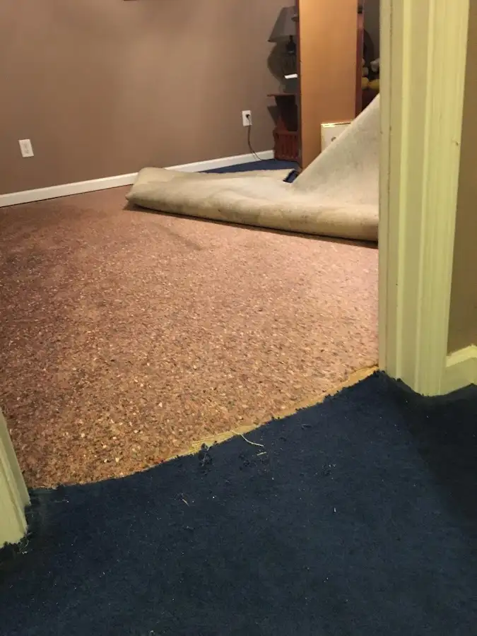 Carpet pad removal revealing water damage during Water Mitigation Services in Berkeley
