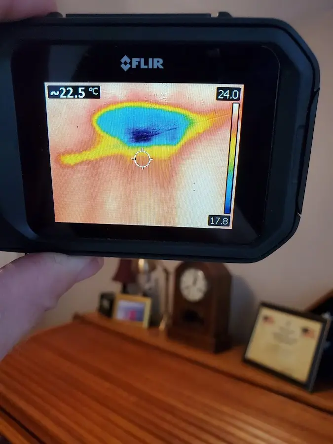 Thermal imaging inspection for water damage in Berkeley