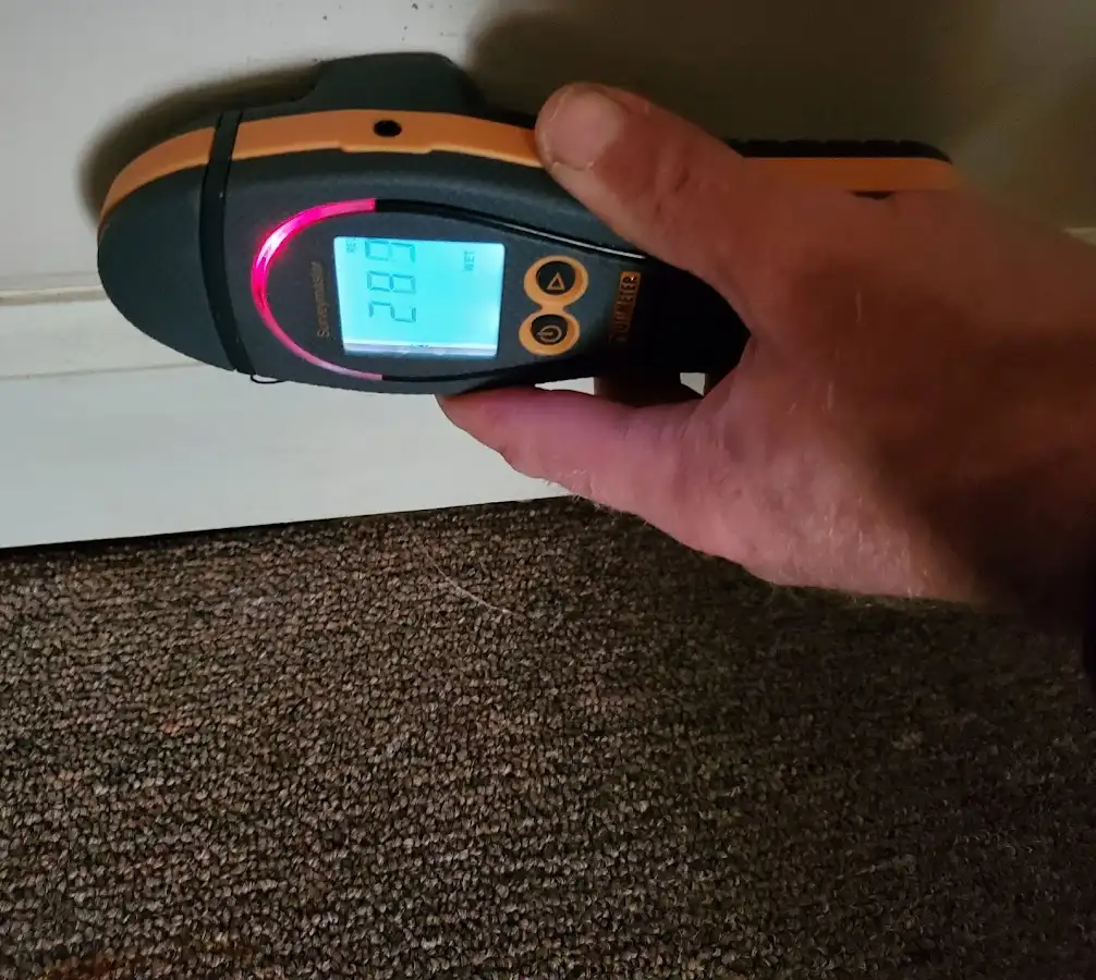 Moisture detection at baseboard during Sewage Cleanup & Sanitation in Berkeley